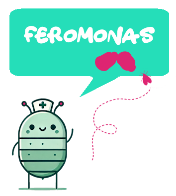 Feromonas